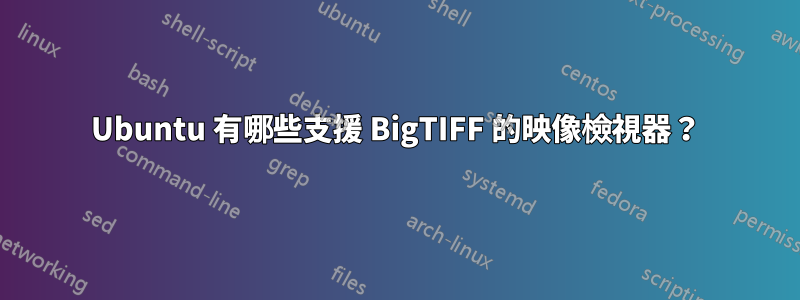 Ubuntu 有哪些支援 BigTIFF 的映像檢視器？