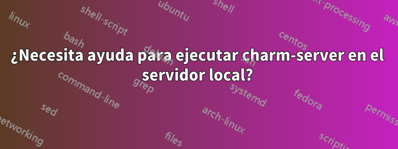 ¿Necesita ayuda para ejecutar charm-server en el servidor local?