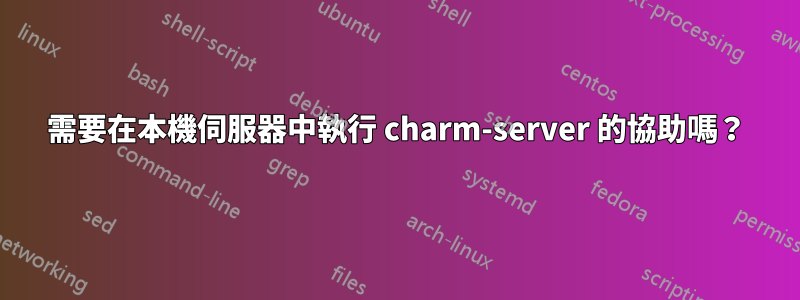 需要在本機伺服器中執行 charm-server 的協助嗎？