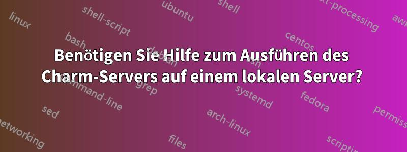 Benötigen Sie Hilfe zum Ausführen des Charm-Servers auf einem lokalen Server?