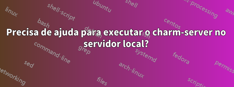 Precisa de ajuda para executar o charm-server no servidor local?