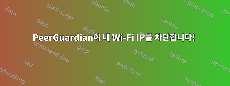 PeerGuardian이 내 Wi-Fi IP를 차단합니다!