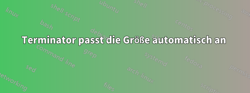 Terminator passt die Größe automatisch an