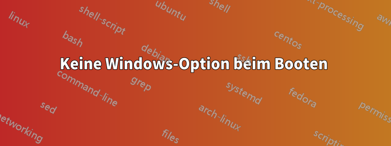 Keine Windows-Option beim Booten