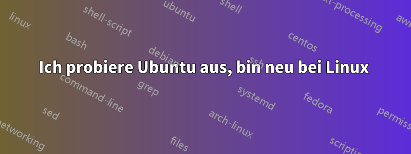 Ich probiere Ubuntu aus, bin neu bei Linux