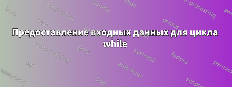 Предоставление входных данных для цикла while