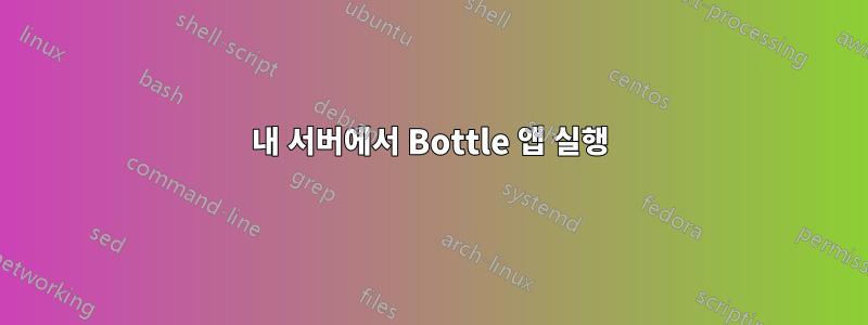 내 서버에서 Bottle 앱 실행