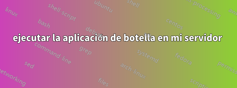 ejecutar la aplicación de botella en mi servidor