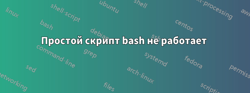 Простой скрипт bash не работает