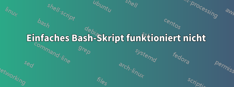 Einfaches Bash-Skript funktioniert nicht