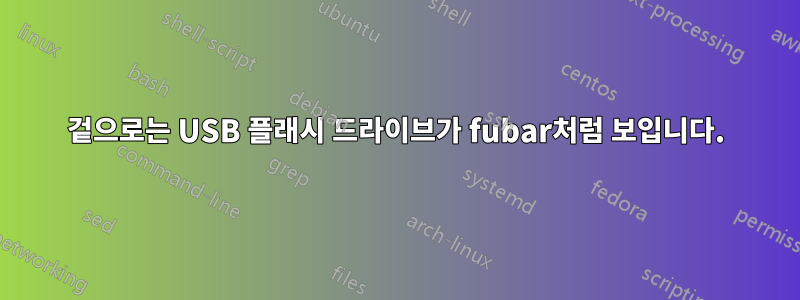 겉으로는 USB 플래시 드라이브가 fubar처럼 보입니다.