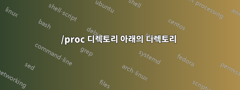 /proc 디렉토리 아래의 디렉토리