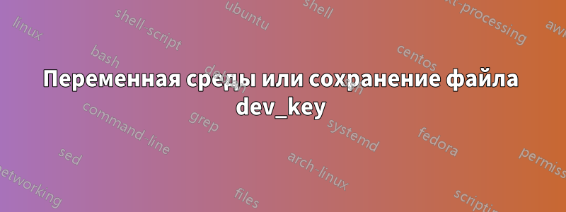 Переменная среды или сохранение файла dev_key