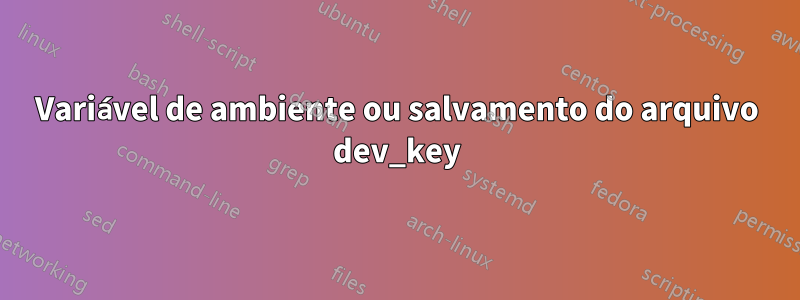 Variável de ambiente ou salvamento do arquivo dev_key