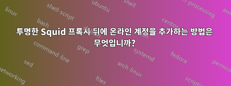 투명한 Squid 프록시 뒤에 온라인 계정을 추가하는 방법은 무엇입니까?