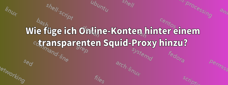 Wie füge ich Online-Konten hinter einem transparenten Squid-Proxy hinzu?