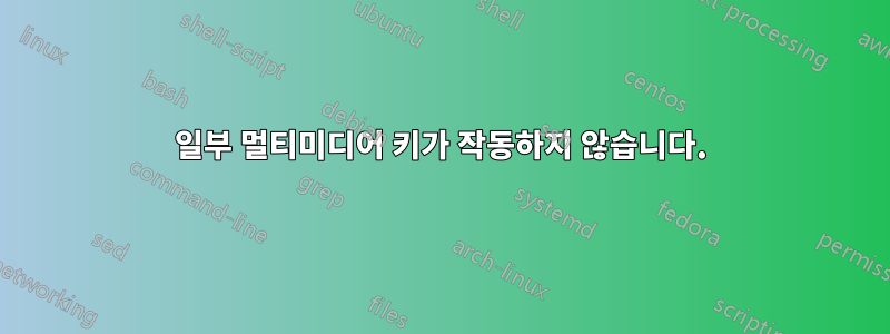 일부 멀티미디어 키가 작동하지 않습니다.