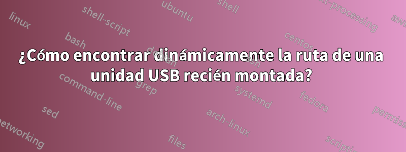 ¿Cómo encontrar dinámicamente la ruta de una unidad USB recién montada?