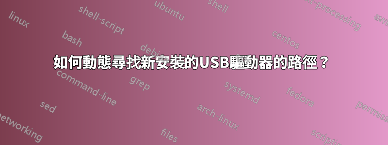 如何動態尋找新安裝的USB驅動器的路徑？