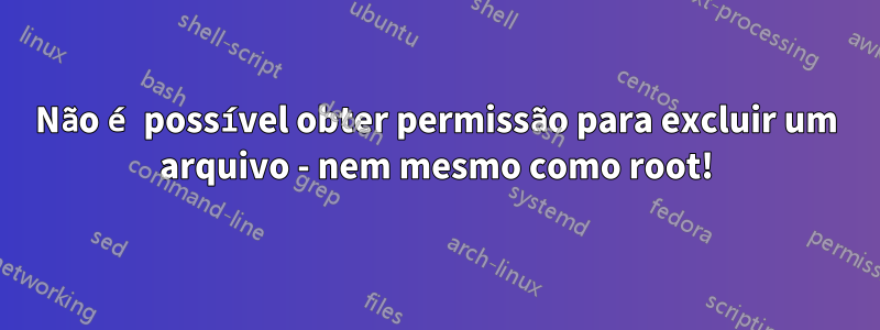 Não é possível obter permissão para excluir um arquivo - nem mesmo como root!