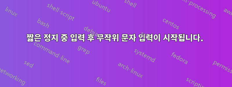 짧은 정지 중 입력 후 무작위 문자 입력이 시작됩니다.