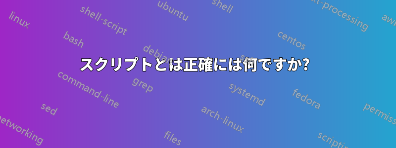 スクリプトとは正確には何ですか? 