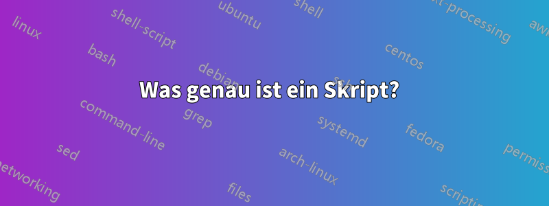 Was genau ist ein Skript? 