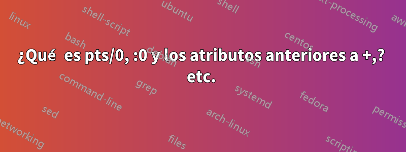 ¿Qué es pts/0, :0 y los atributos anteriores a +,? etc.