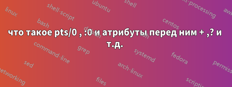 что такое pts/0 , :0 и атрибуты перед ним + ,? и т.д.