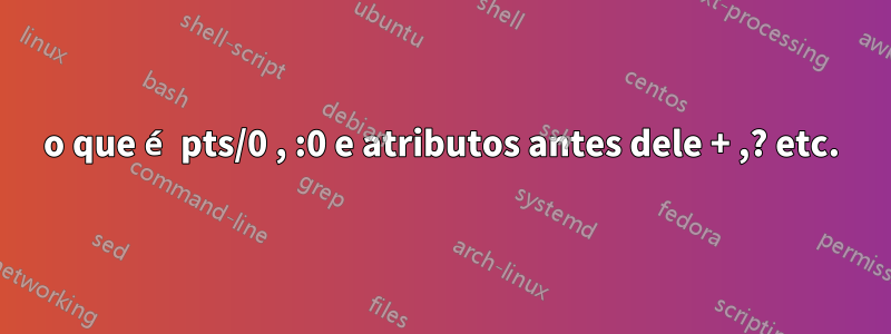 o que é pts/0 , :0 e atributos antes dele + ,? etc.