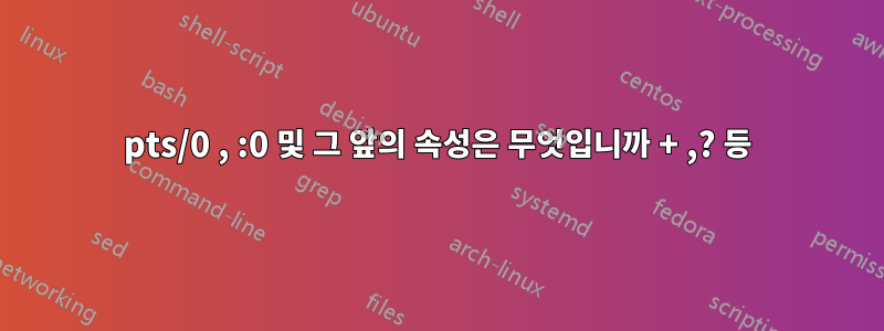 pts/0 , :0 및 그 앞의 속성은 무엇입니까 + ,? 등