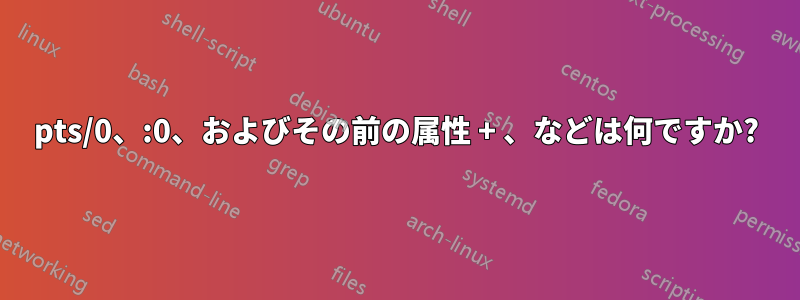 pts/0、:0、およびその前の属性 + 、などは何ですか?