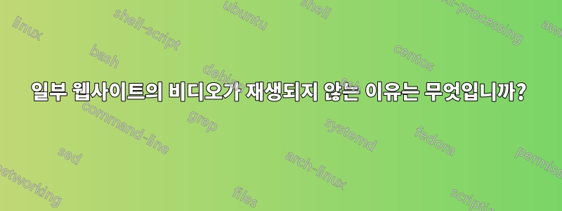 일부 웹사이트의 비디오가 재생되지 않는 이유는 무엇입니까?