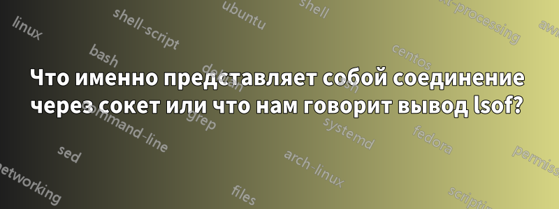 Что именно представляет собой соединение через сокет или что нам говорит вывод lsof?