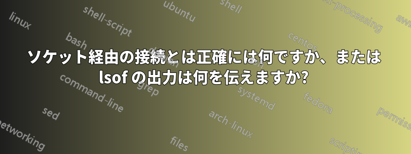 ソケット経由の接続とは正確には何ですか、または lsof の出力は何を伝えますか?