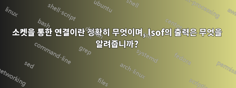 소켓을 통한 연결이란 정확히 무엇이며, lsof의 출력은 무엇을 알려줍니까?