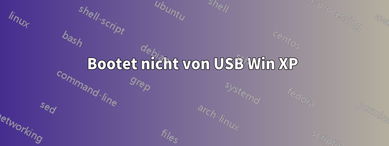 Bootet nicht von USB Win XP