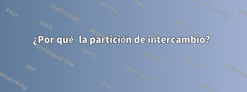 ¿Por qué la partición de intercambio? 