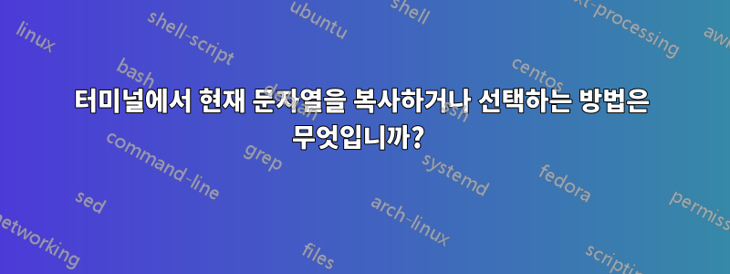 터미널에서 현재 문자열을 복사하거나 선택하는 방법은 무엇입니까? 