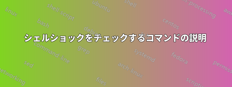 シェルショックをチェックするコマンドの説明