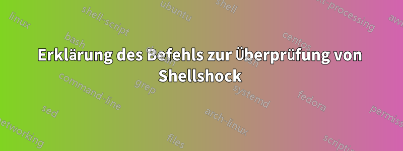 Erklärung des Befehls zur Überprüfung von Shellshock