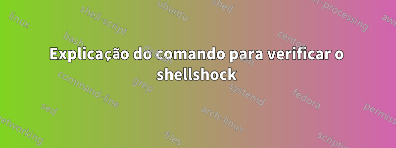 Explicação do comando para verificar o shellshock