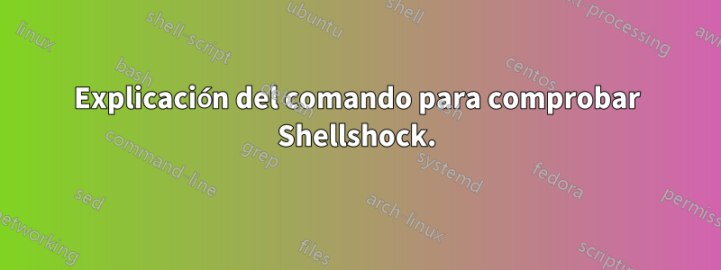 Explicación del comando para comprobar Shellshock.