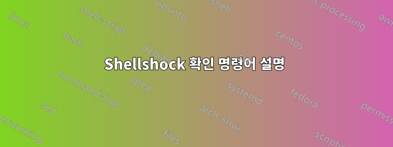 Shellshock 확인 명령어 설명