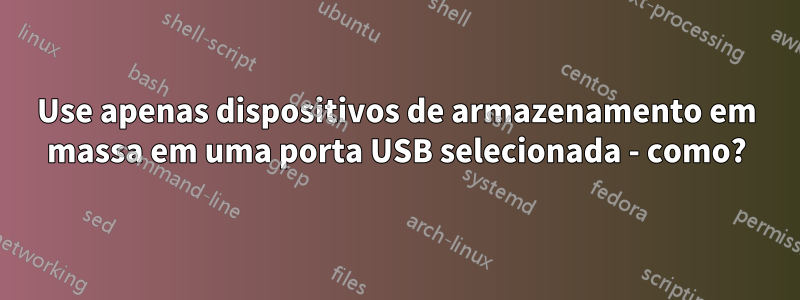 Use apenas dispositivos de armazenamento em massa em uma porta USB selecionada - como?