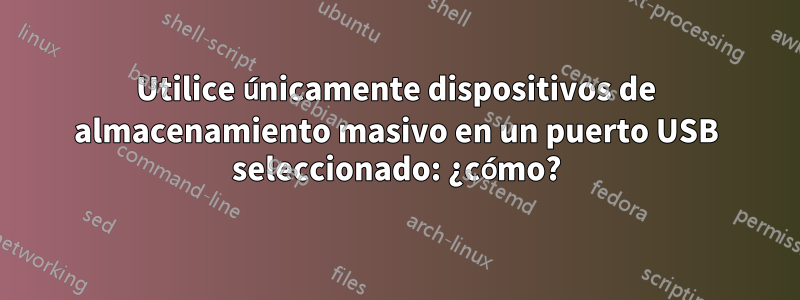 Utilice únicamente dispositivos de almacenamiento masivo en un puerto USB seleccionado: ¿cómo?