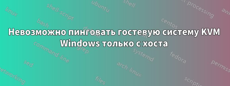 Невозможно пинговать гостевую систему KVM Windows только с хоста