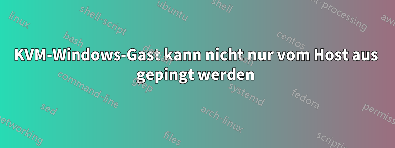 KVM-Windows-Gast kann nicht nur vom Host aus gepingt werden