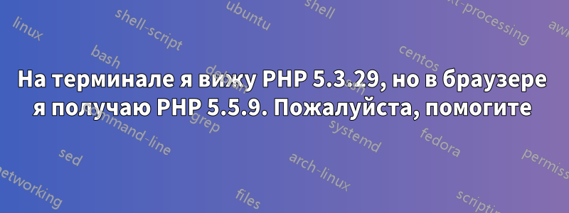 На терминале я вижу PHP 5.3.29, но в браузере я получаю PHP 5.5.9. Пожалуйста, помогите