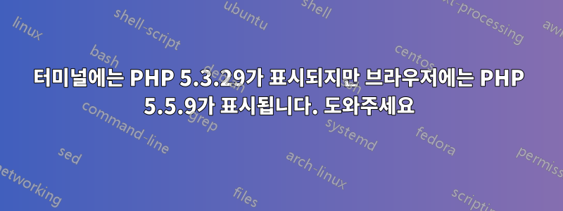 터미널에는 PHP 5.3.29가 표시되지만 브라우저에는 PHP 5.5.9가 표시됩니다. 도와주세요